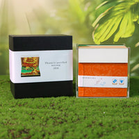 Calendrier 3D 2026 - Phénix perché Wutong 