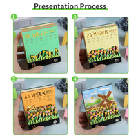 Calendrier 3D 2026 - Moulin à vent 