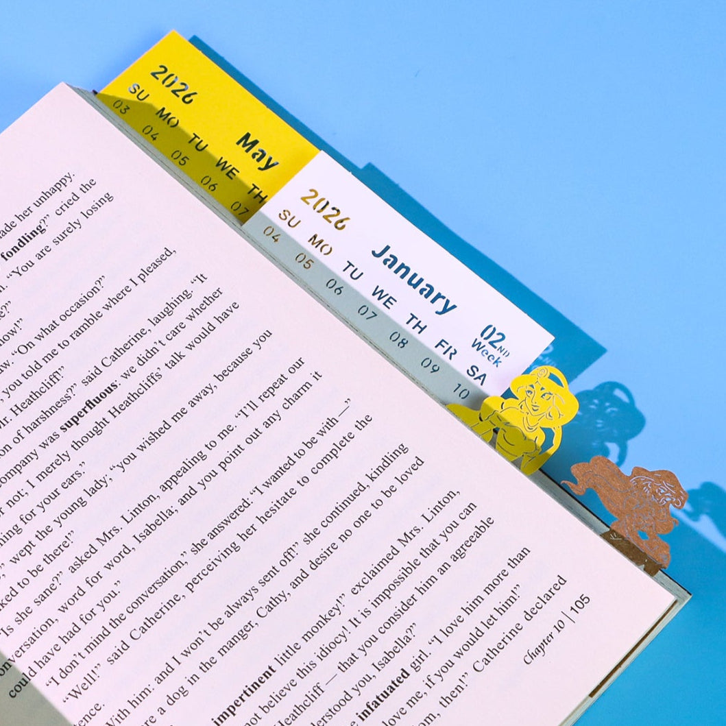 D.Castle (Avec lumière et calendrier 2026)