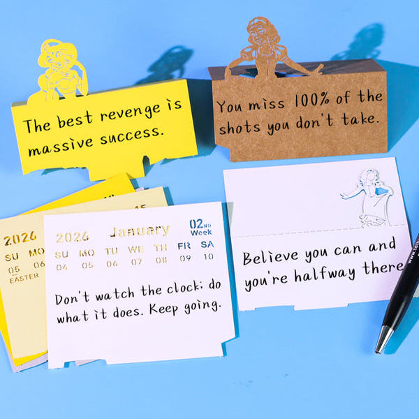 D.Castle (Avec lumière et calendrier 2026)